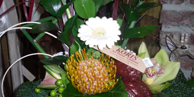 Composition créé par la fleuriste Koris