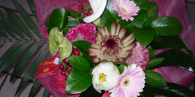 Composition aux couleurs rose & blanc