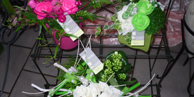Compositions de décoration avec des plantes grasse